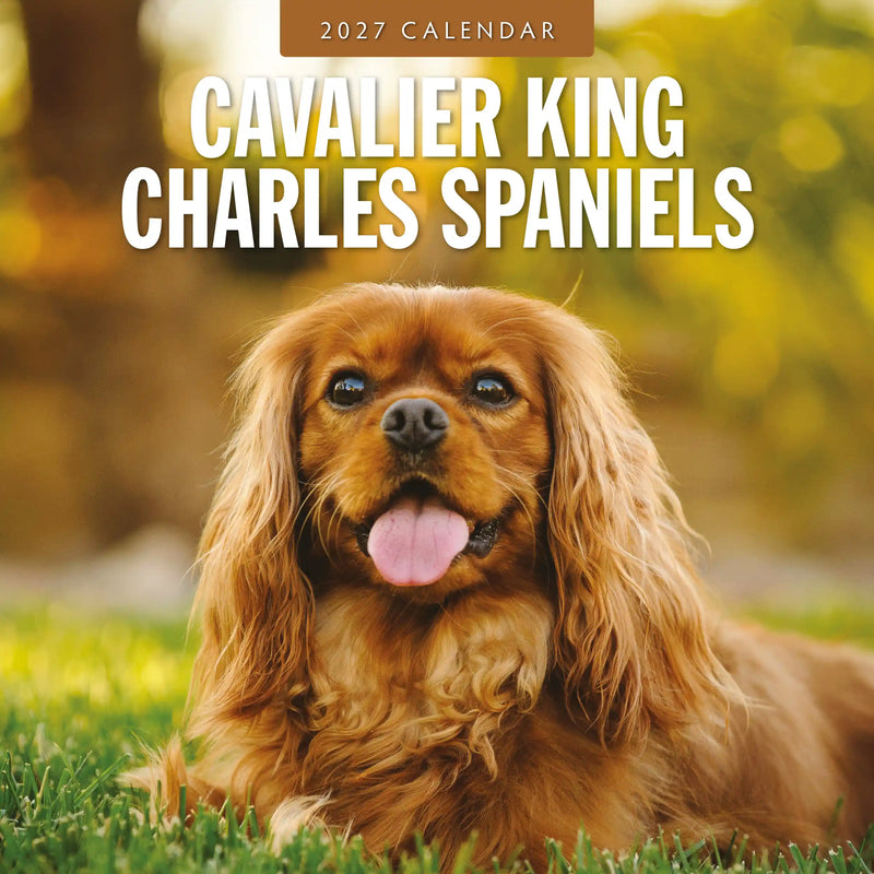 2027 square wall calendar featuring Cavalier King Charles Spaniels