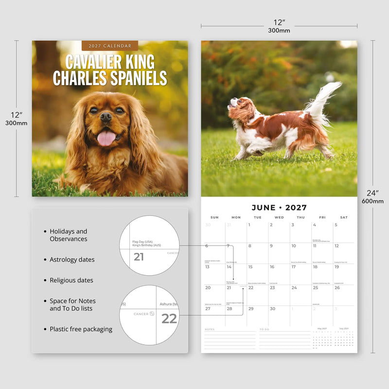 2027 Square Wall Calendar Cavalier King Charles Spaniels image 3