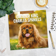 2027 Square Wall Calendar Cavalier King Charles Spaniels image 5 – thumbnail