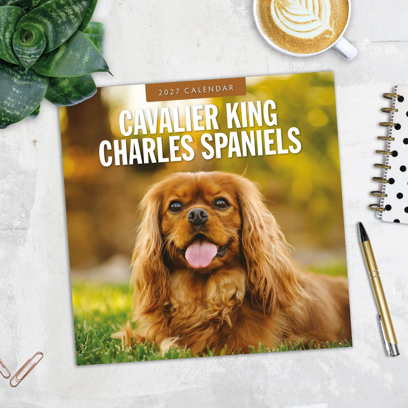 2027 Square Wall Calendar Cavalier King Charles Spaniels image 5