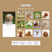 2027 Square Wall Calendar Cavapoos image 2 – thumbnail