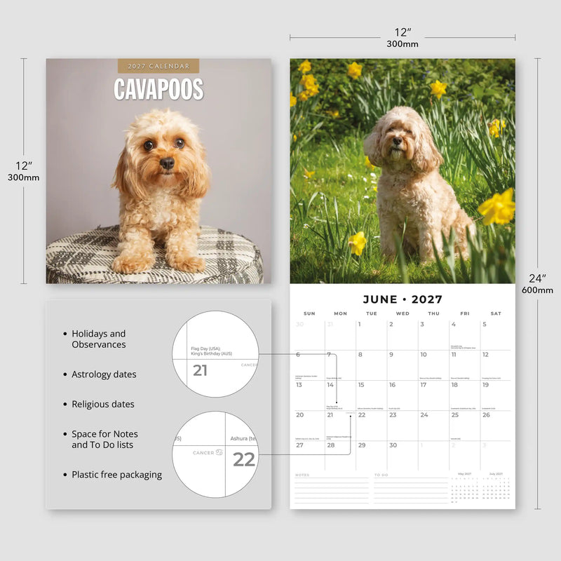 2027 Square Wall Calendar Cavapoos image 3