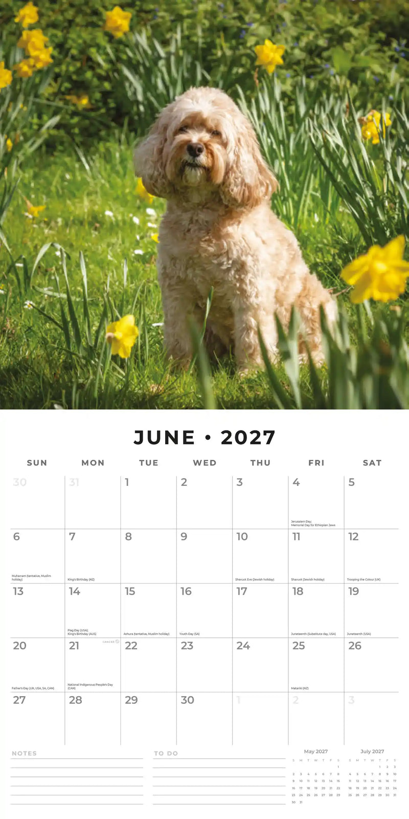2027 Square Wall Calendar Cavapoos image 4
