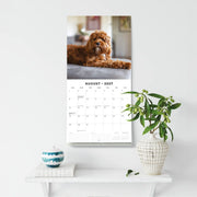 2027 Square Wall Calendar Cavapoos image 6 – thumbnail