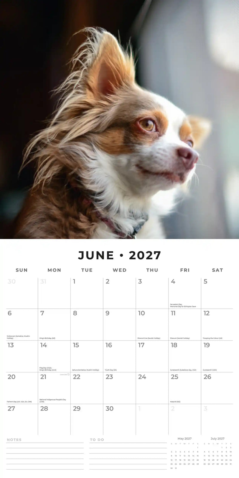 2027 Square Wall Calendar Chihuahuas image 4