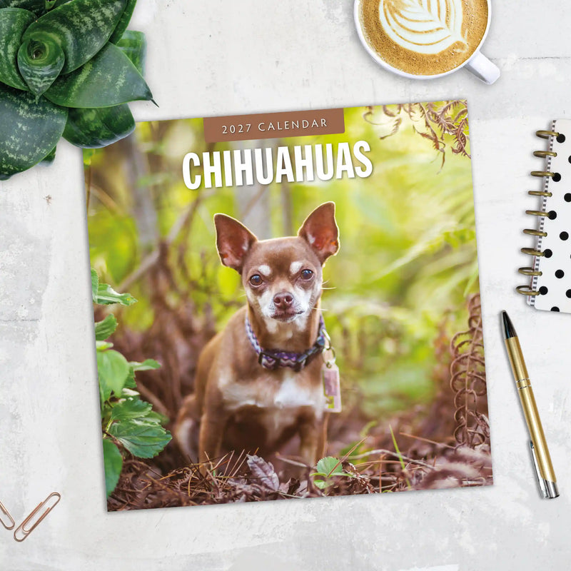 2027 Square Wall Calendar Chihuahuas image 5