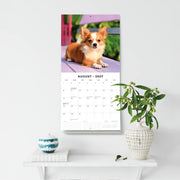 2027 Square Wall Calendar Chihuahuas image 6 – thumbnail