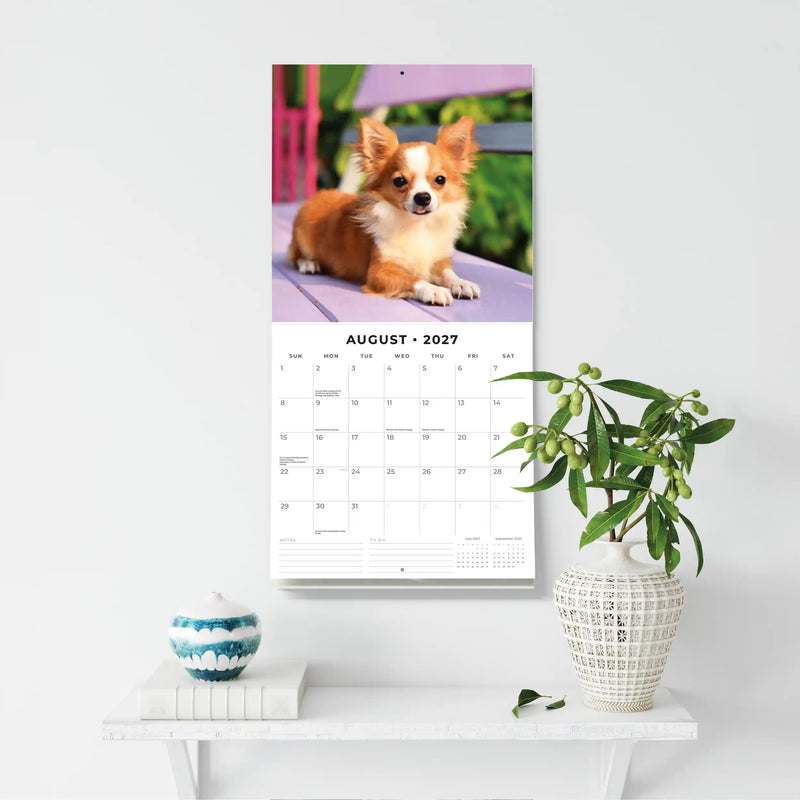 2027 Square Wall Calendar Chihuahuas image 6