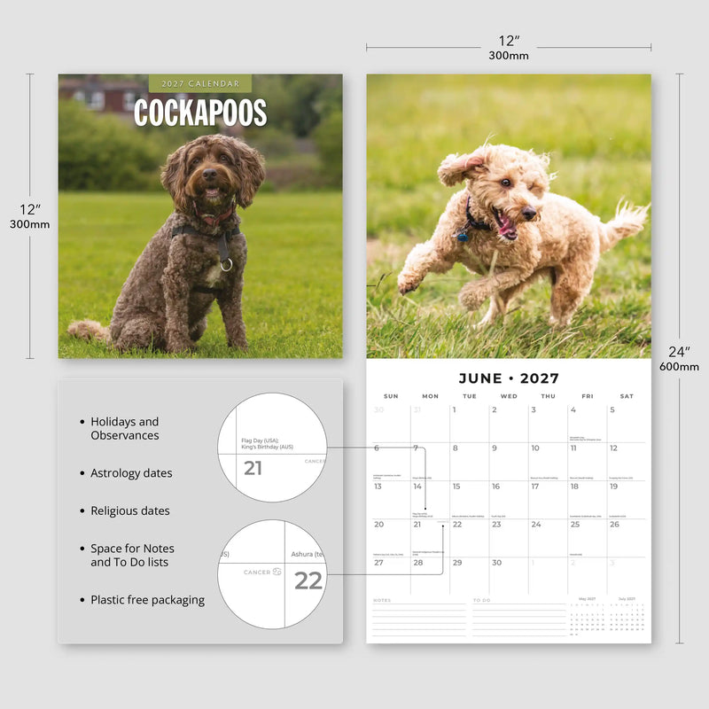 2027 Square Wall Calendar Cockapoos image 3