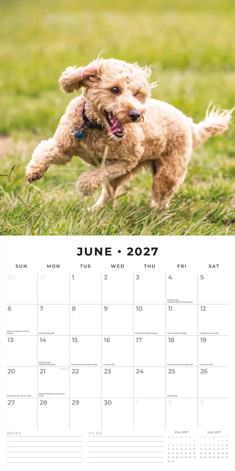 2027 Square Wall Calendar Cockapoos image 4