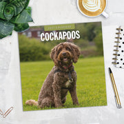 2027 Square Wall Calendar Cockapoos image 5 – thumbnail