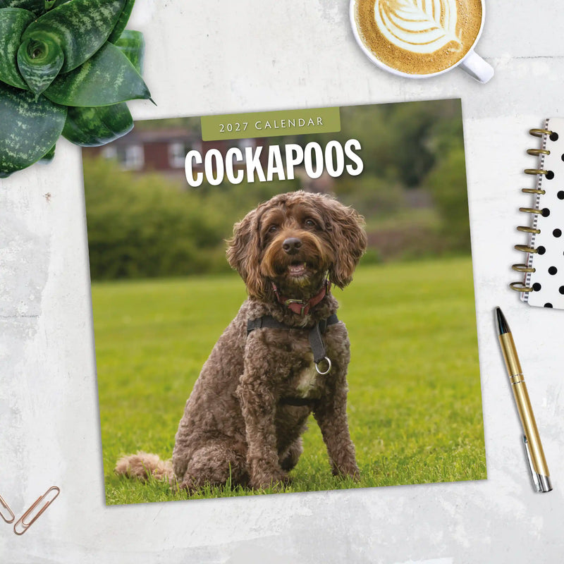 2027 Square Wall Calendar Cockapoos image 5