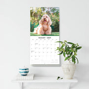 2027 Square Wall Calendar Cockapoos image 6 – thumbnail