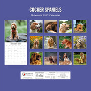 2027 Square Wall Calendar Cocker Spaniels image 2 – thumbnail