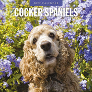 2027 square wall calendar featuring Cocker Spaniels – thumbnail