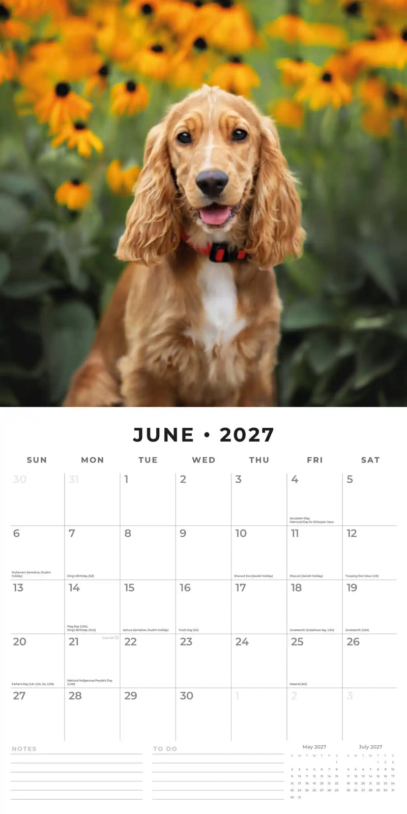 2027 Square Wall Calendar Cocker Spaniels image 4