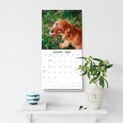 2027 Square Wall Calendar Cocker Spaniels image 6 – thumbnail