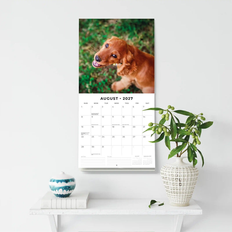 2027 Square Wall Calendar Cocker Spaniels image 6