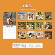 2027 Square Wall Calendar Collies image 2 – thumbnail