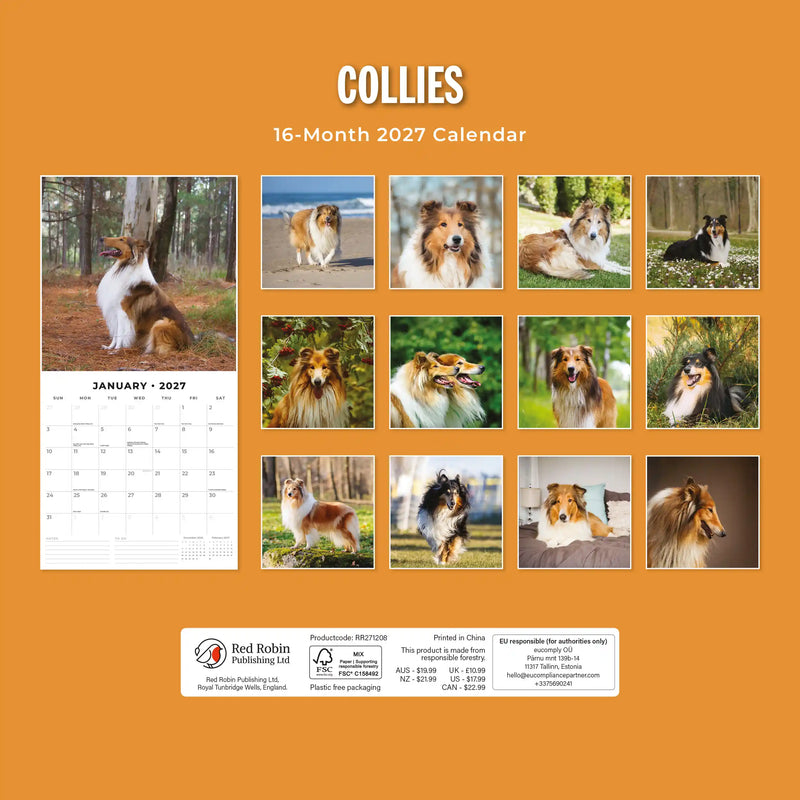 2027 Square Wall Calendar Collies image 2