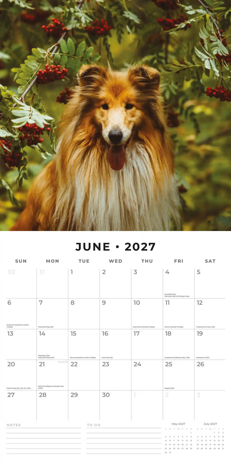 2027 Square Wall Calendar Collies image 4