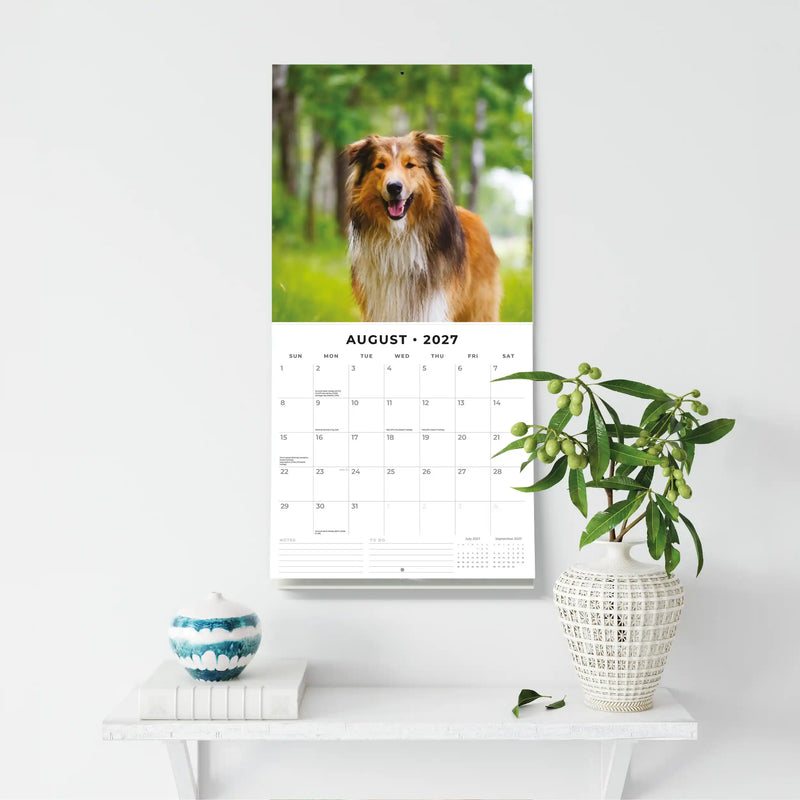 2027 Square Wall Calendar Collies image 6