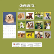 2027 Square Wall Calendar Crossbreeds image 2 – thumbnail