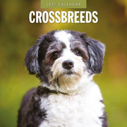 2027 square wall calendar featuring crossbreed dogs – thumbnail