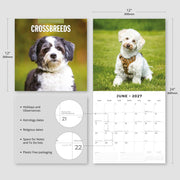 2027 Square Wall Calendar Crossbreeds image 3 – thumbnail