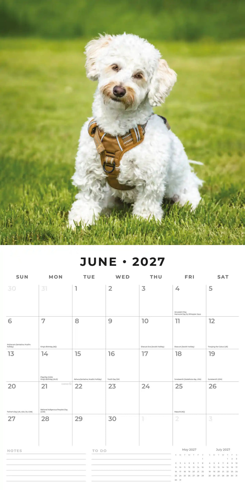 2027 Square Wall Calendar Crossbreeds image 4