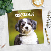 2027 Square Wall Calendar Crossbreeds image 5 – thumbnail