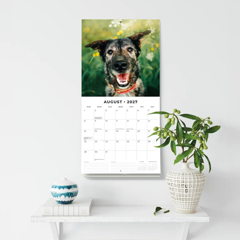 2027 Square Wall Calendar Crossbreeds image 6