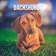 2027 square wall calendar featuring Dachshunds – thumbnail