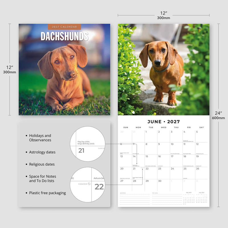 2027 Square Wall Calendar Dachshunds image 3