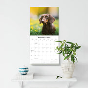 2027 Square Wall Calendar Dachshunds image 6 – thumbnail