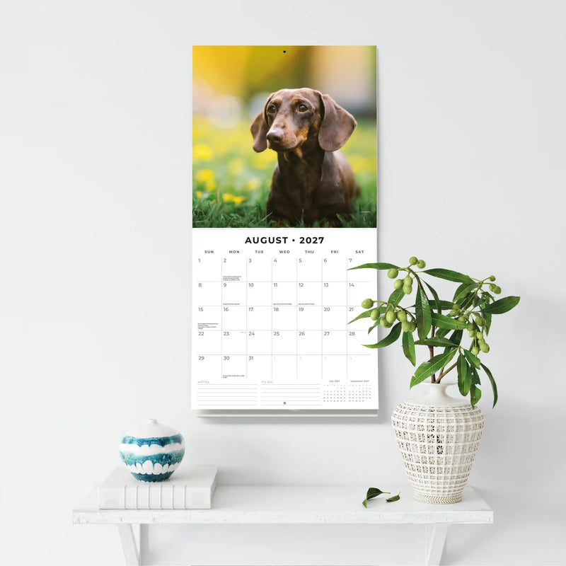 2027 Square Wall Calendar Dachshunds image 6
