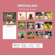 2027 Square Wall Calendar French Bulldogs image 2 – thumbnail