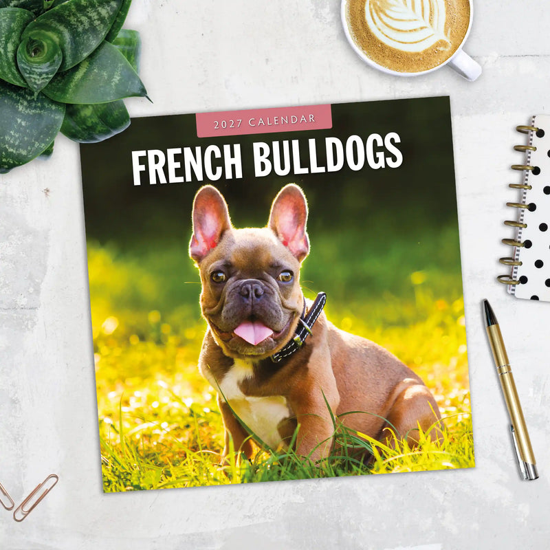 2027 Square Wall Calendar French Bulldogs image 5