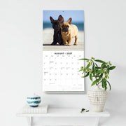 2027 Square Wall Calendar French Bulldogs image 6 – thumbnail