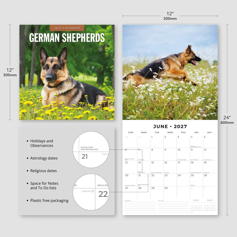 2027 Square Wall Calendar German Shepherds image 3