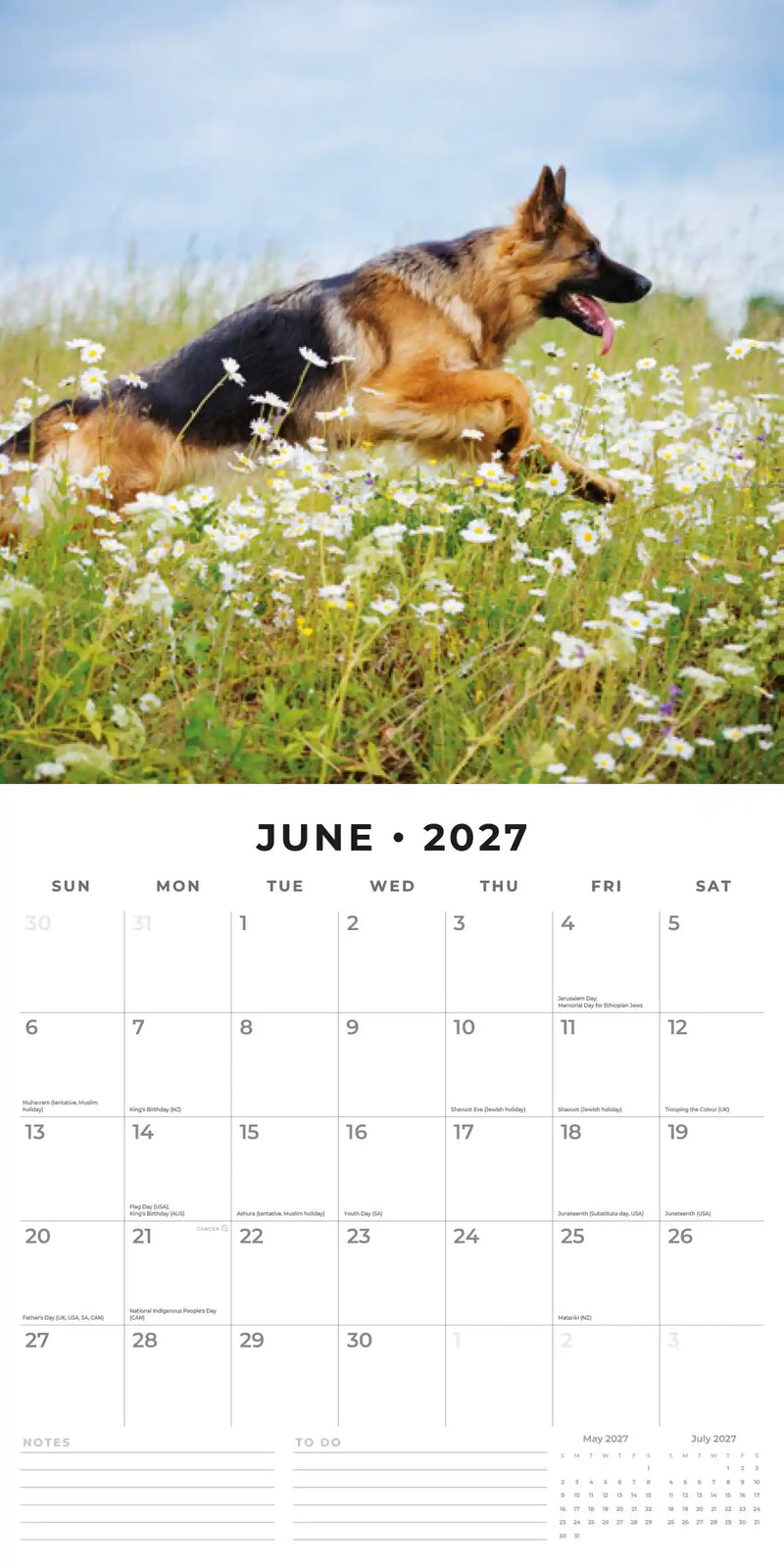 2027 Square Wall Calendar German Shepherds image 4