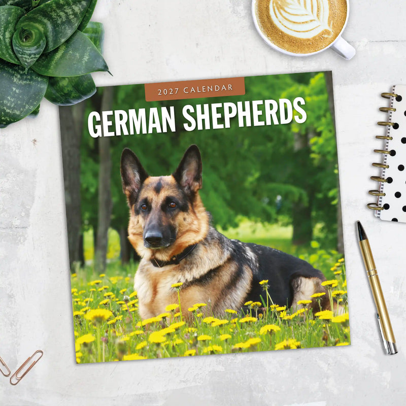 2027 Square Wall Calendar German Shepherds image 5