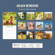 2027 Square Wall Calendar Golden Retrievers image 2 – thumbnail
