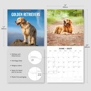 2027 Square Wall Calendar Golden Retrievers image 3 – thumbnail