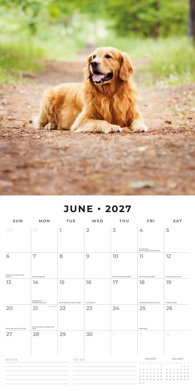 2027 Square Wall Calendar Golden Retrievers image 4