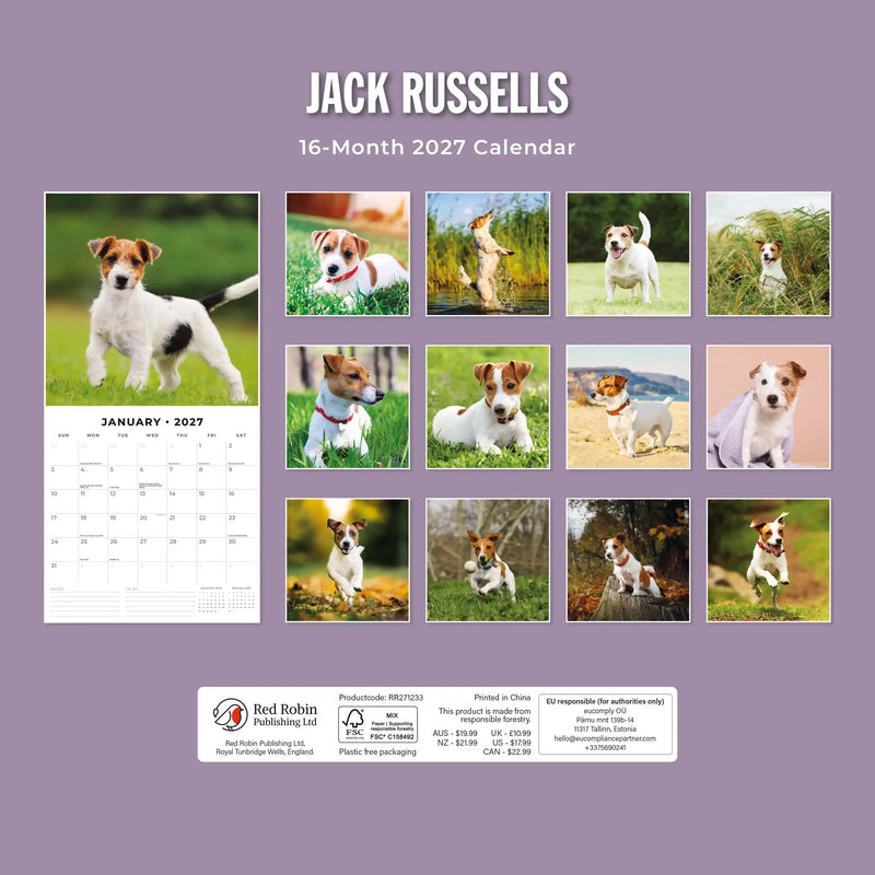 2027 Square Wall Calendar Jack Russells image 2