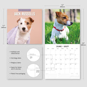 2027 Square Wall Calendar Jack Russells image 3 – thumbnail