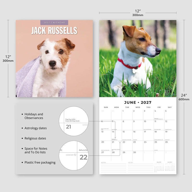 2027 Square Wall Calendar Jack Russells image 3