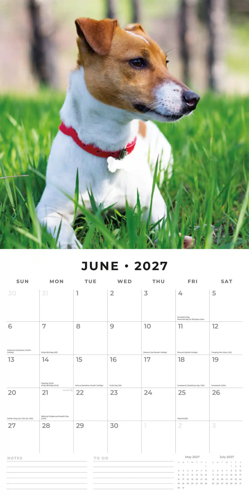 2027 Square Wall Calendar Jack Russells image 4