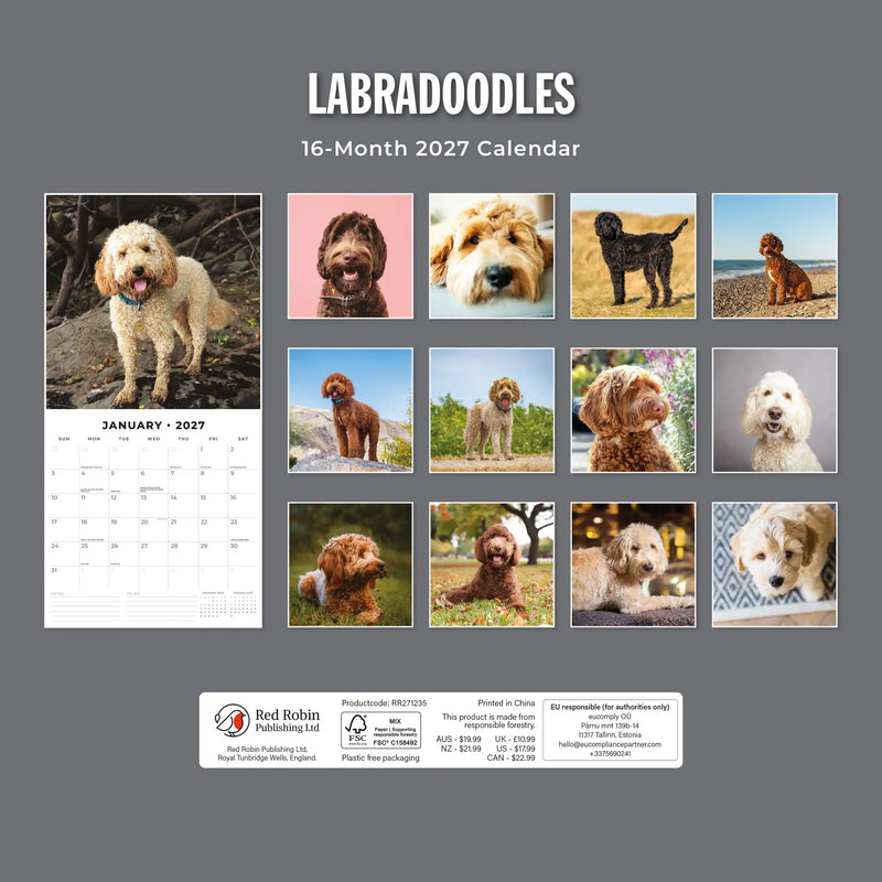2027 Square Wall Calendar Labradoodles image 2